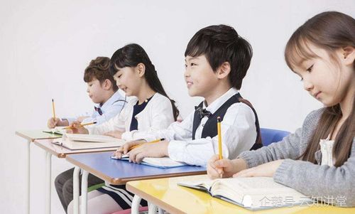 探尋孩子成績差背后的深層原因與教育咨詢的價值